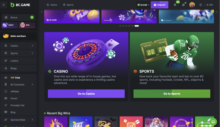 BC.Game in Pakistan: Online Casino & Sports Betting