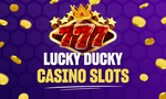 The 6 Highest Payout Gambling Enterprises