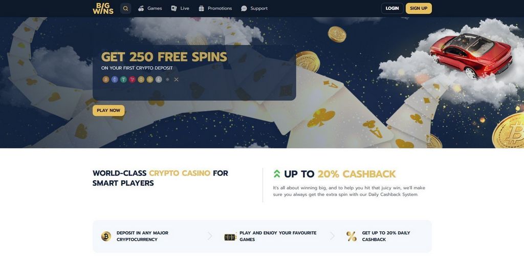 BigWins Casino: Gamer Rankings & Our Judgment