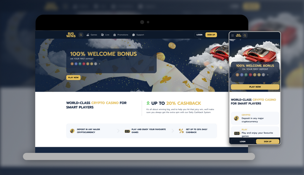 BigWins Gambling Enterprise: Gamer Scores & Our Decision